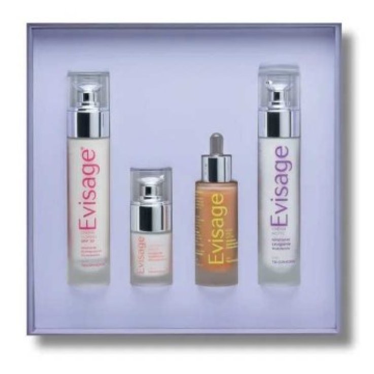 EVISAGE Kit 4Fl.