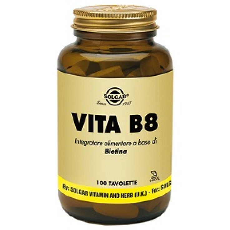 VITA B8 100 TAVOLETTE