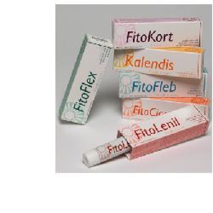 FITOFLEB GEL 100 ML FITOFLEB GEL 100 ML