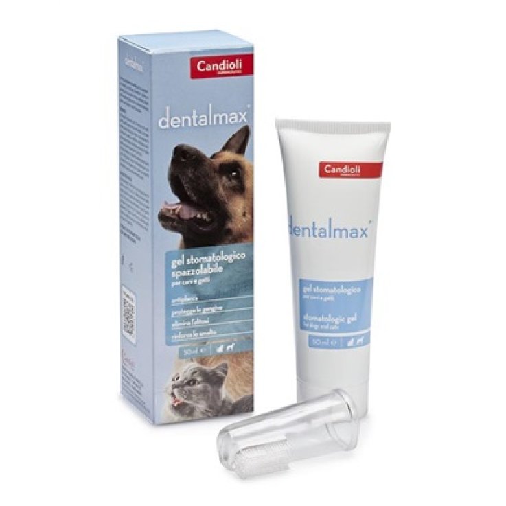DENTALMAX Gel Stomatol.50ml DENTALMAX Gel Stomatol.50ml