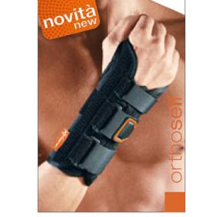POLFIT 19 Pols.Sempl.Dx M POLFIT 19 Pols.Sempl.Dx M