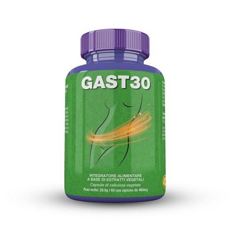 GAST 30 60 Cps