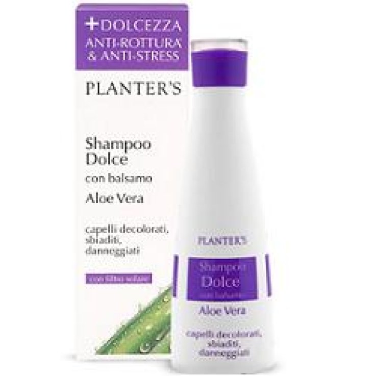 PLANTERS Sh.Dolce Aloe Vera PLANTERS Sh.Dolce Aloe Vera