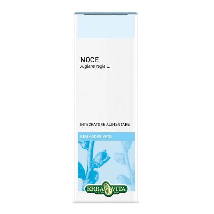 GEMMODERIVATO Noce 50ml EBV GEMMODERIVATO Noce 50ml EBV