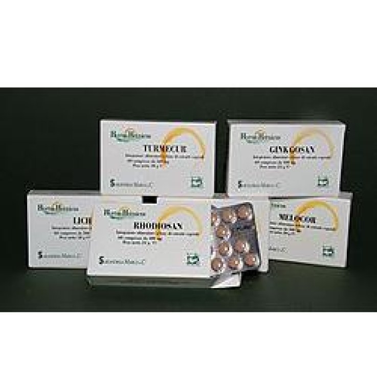 GINKGOSAN 60 Cpr 400mg SARAND. GINKGOSAN 60 Cpr 400mg SARAND.