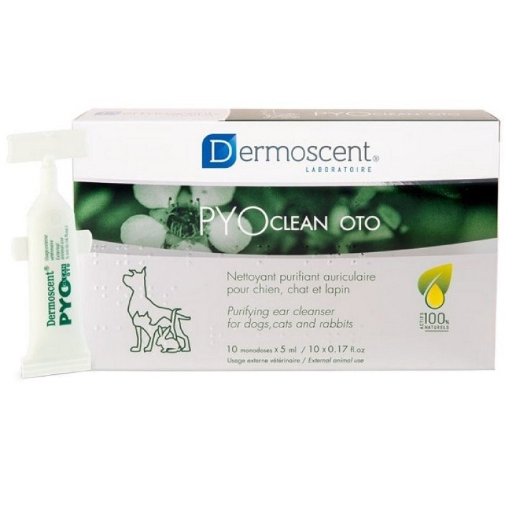 PYOCLEAN Oto 10fl.5ml PYOCLEAN Oto 10fl.5ml