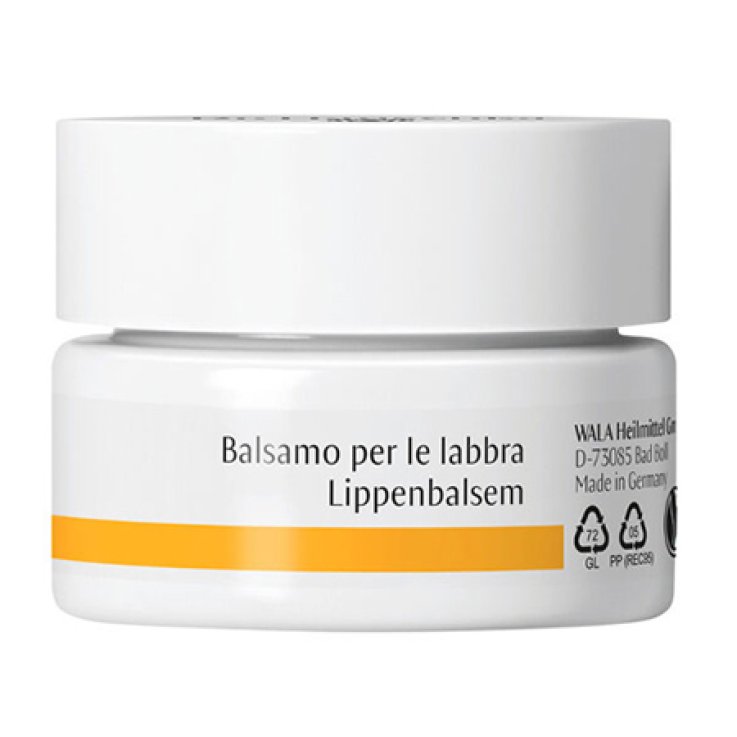 DR HAUSCHKA Bals.Labbra 4,5g DR HAUSCHKA Bals.Labbra 4,5g