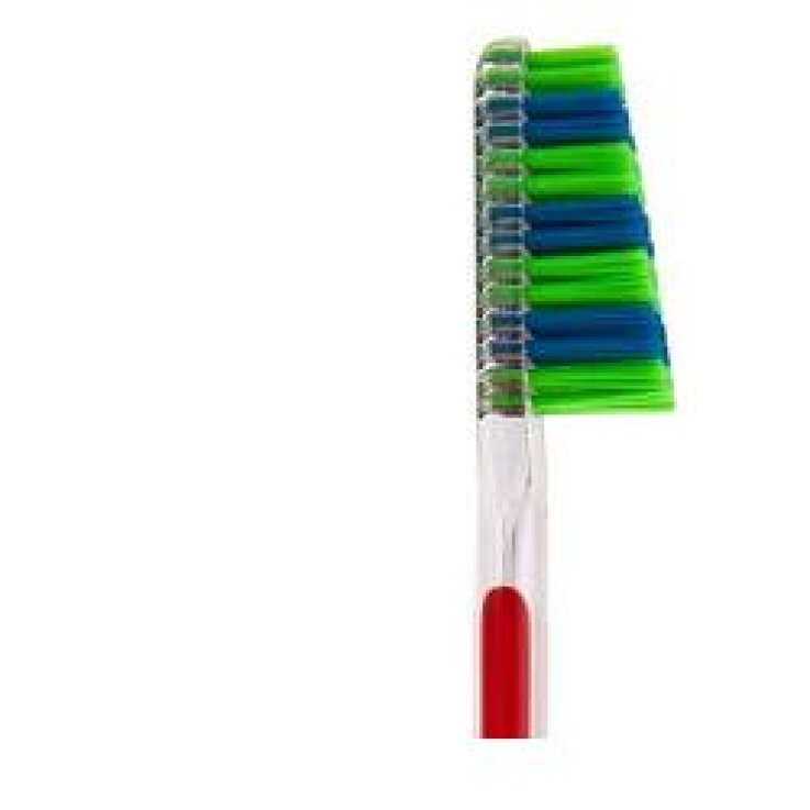 TAUMARIN SPAZZOLINO SCALARE 33 SETOLE MEDIE TAUMARIN SPAZZOLINO SCALARE 33 SETOLE MEDIE