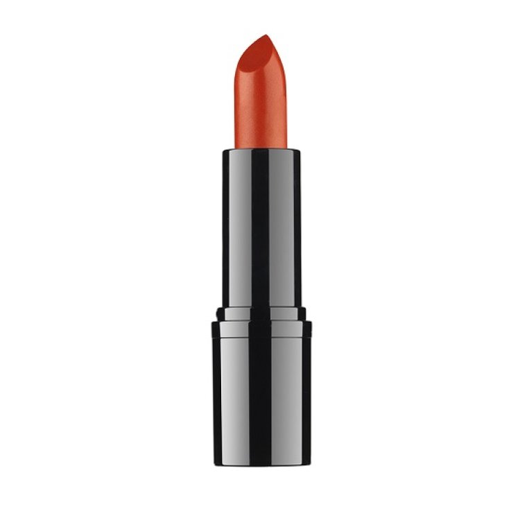 RVB LAB THE MAKE UP DDP ROSSETTO PROFESSIONALE 13