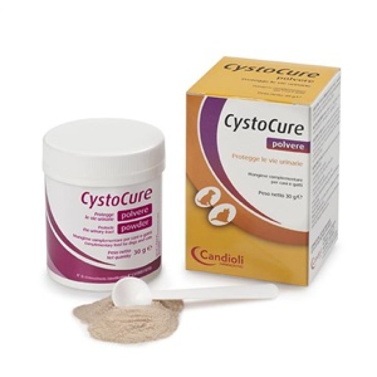 CYSTOCURE Forte Polv.30g CYSTOCURE Forte Polv.30g