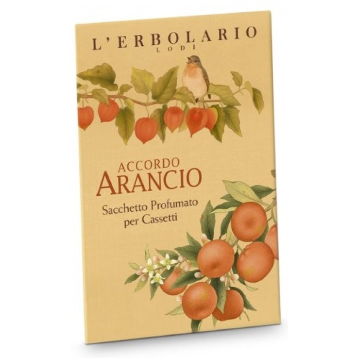 ACCORDO ARANCIO SACCHETTO PROFUMATO PER CASSETTI ACCORDO ARANCIO SACCHETTO PROFUMATO PER CASSETTI