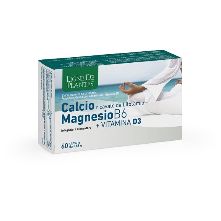 CALCIO/MG B6+Vit.D3 60 Cps NSE