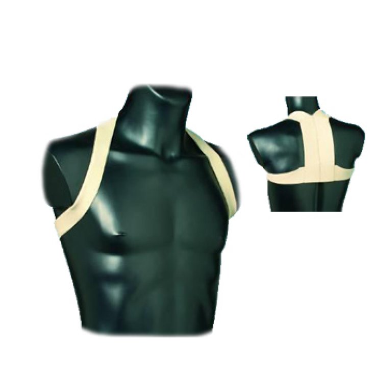 RADDRIZZASPALLE Mod.Otto S F/C RADDRIZZASPALLE Mod.Otto S F/C