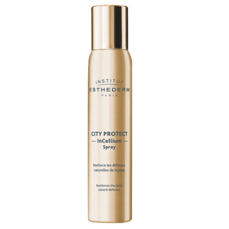 INSTI UV CITY SPRAY 100 ML