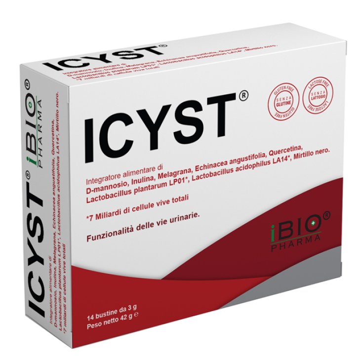 ICYST 14 Buste ICYST 14 Buste