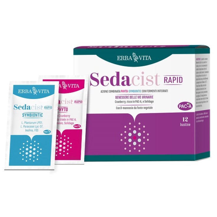 SEDACIST Rapid 6+6 Bust.   EBV