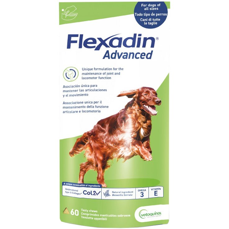 FLEXADIN Advanced Cani 60 Tav.