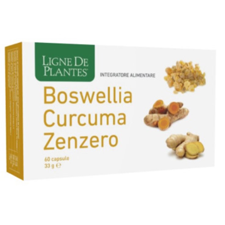 BOSWELLIA/CURC/ZENZ.60Cps NSE BOSWELLIA/CURC/ZENZ.60Cps NSE