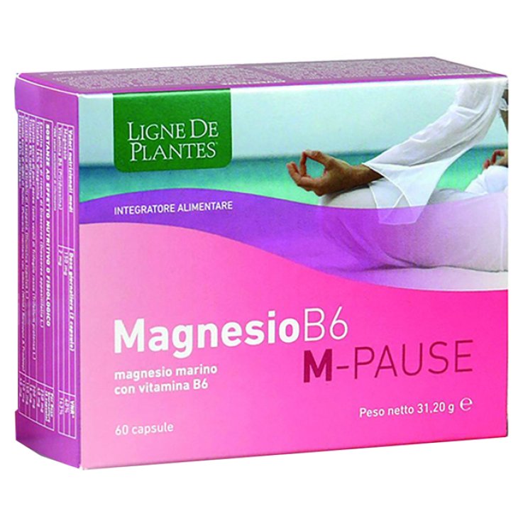 MAGNESIO B6 M-PAUSE 60Cps N-S MAGNESIO B6 M-PAUSE 60Cps N-S