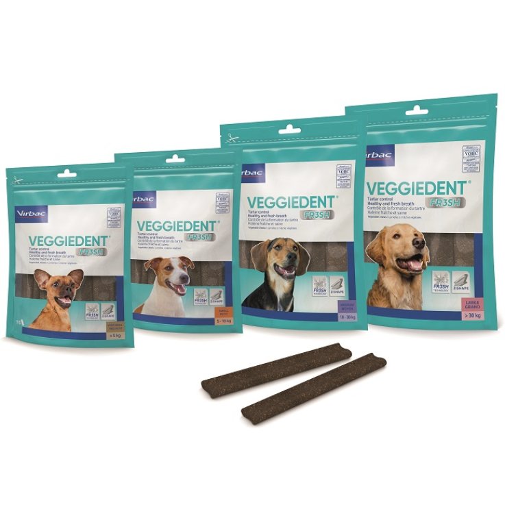 VEGGIEDENT FR3SH L 15 Stick VEGGIEDENT FR3SH L 15 Stick