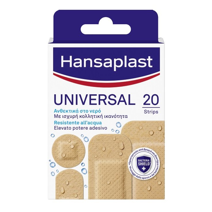 HANSAPLAST Cer.Univ.Ass.20pz