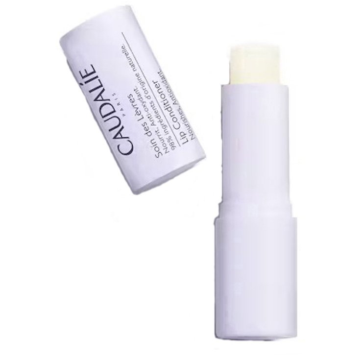 CAUDALIE STICK LABBRA 4,5 G