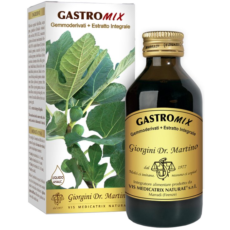 GASTROMIX Liq.Analc.200ml SVS GASTROMIX Liq.Analc.200ml SVS