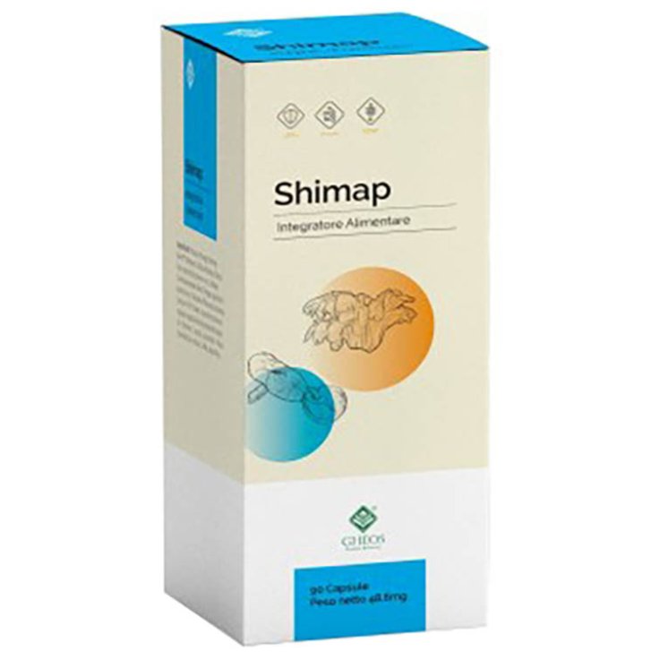 SHIMAP 90 Cps SHIMAP 90 Cps