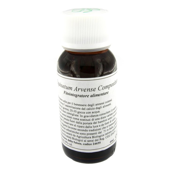 LVS 41N Equisetum Arv.Comp. LVS 41N Equisetum Arv.Comp.