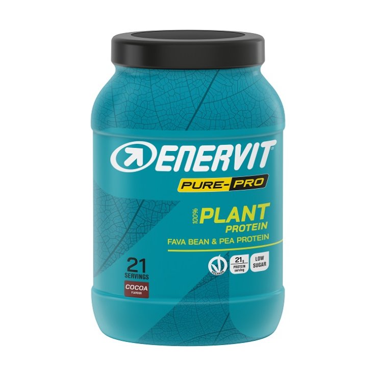 ENERVIT PP PROTEIN PLANT CACAO