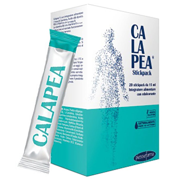 CALAPEA 14 Bust.