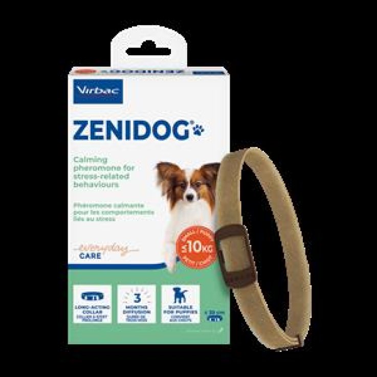 ZENIDOG Coll.Antistress S ZENIDOG Coll.Antistress S