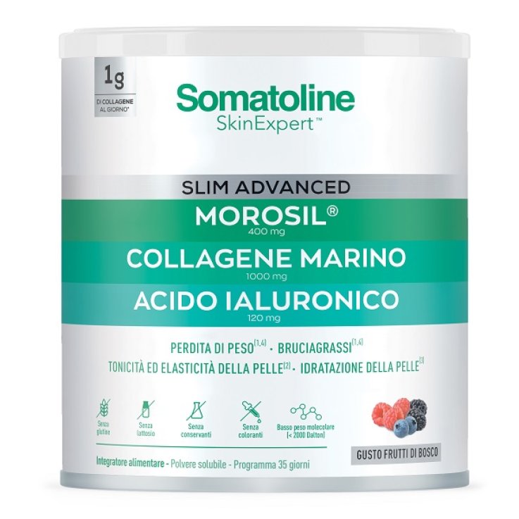SOMAT Slim Advanced Polv.275g