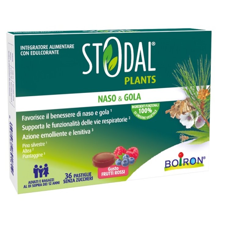 STODAL Plants 36 Past.Fr.Rossi