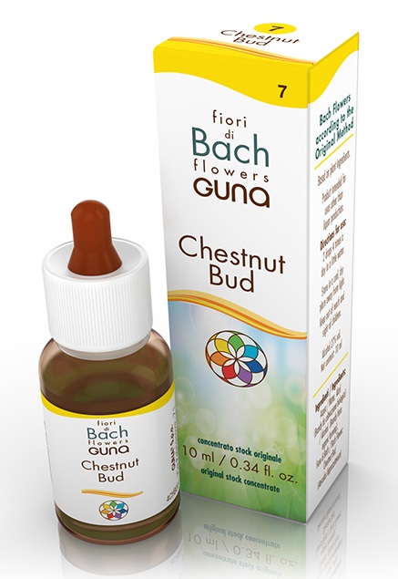 CHESTNUT BUD GOCCE 10 ML - Farmapanda Srl