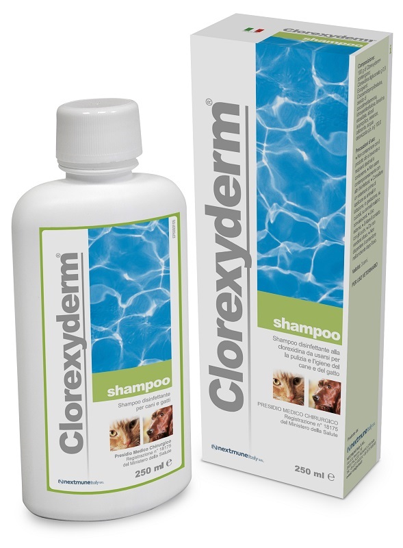 CLOREXYDERM SHAMPOO 250 ML - Farmapanda Srl