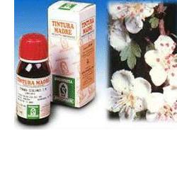 BIANCOSPINO 10 50ML TM - Farmapanda Srl