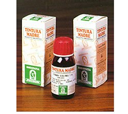 AMAMELIDE 15 50ML TM - Farmapanda Srl