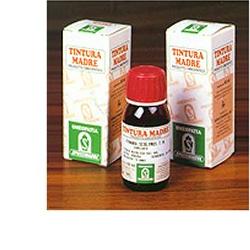 PILOSELLA 20 50ML TM - Farmapanda Srl
