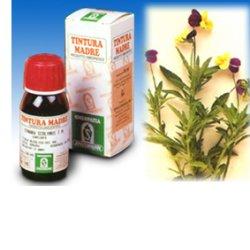 VIOLA DEL PENSIERO 32 50ML TM - Farmapanda Srl