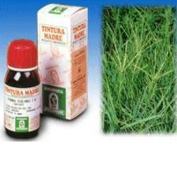 GRAMIGNA 37 50ML TM - Farmapanda Srl