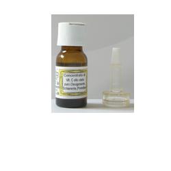 SIDEA C INTEGRALE VITAMINA C 10 ML - Farmapanda Srl