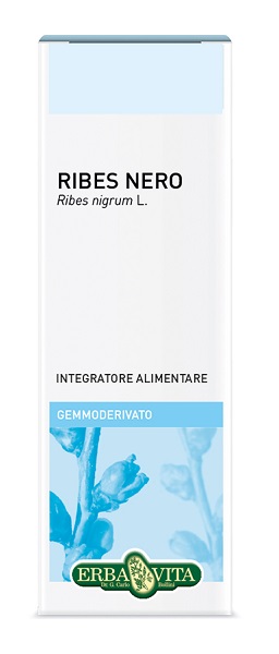 GEMMODERIVATO RIBES NERO 50 ML - Farmapanda Srl