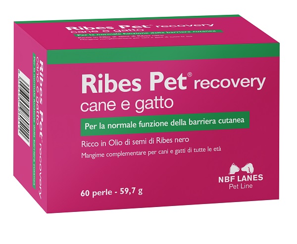 RIBES PET RECOVERY BLISTER 60 PERLE - Farmapanda Srl