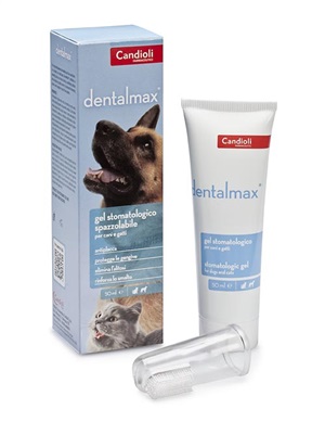 DENTALMAX GEL STOMATOLOGICO 50 ML - Farmapanda Srl