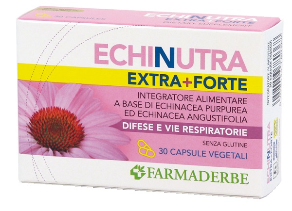 ECHINUTRA EXTRA FORTE 30 CAPSULE - Farmapanda Srl