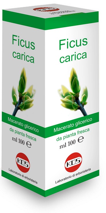 FICUS CARICA MACERATO GLICERICO 100 ML - Farmapanda Srl