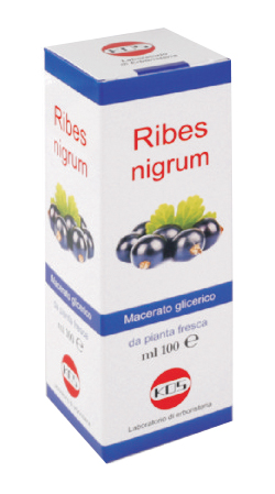 RIBES NIGRUM MACERATO GLICERICO 100 ML GOCCE - Farmapanda Srl