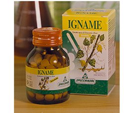 IGNAME ERBE 60TAV - Farmapanda Srl