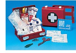 CASSETTA PRONTO SOCCORSO FAMILY PER CAMPEGGIO, BRICOLAGE, CASA E UFFICIO. CONTENITORE IN ABS ANTIURTO CON SUPPORTO PER IL FISSAGGIO ALLA PARETE - Farmapanda Srl